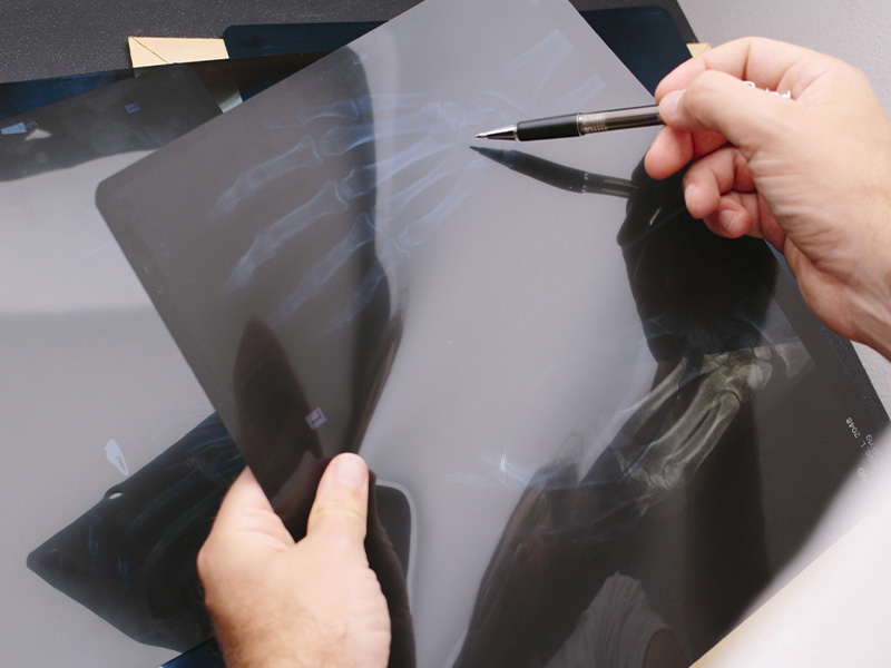 診察・検査の進め方